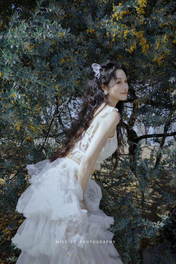 快速构建蜘蛛池的五个步骤