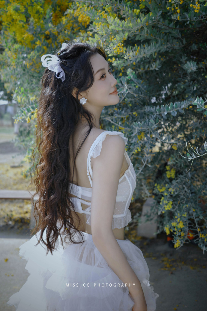 蜘蛛池和Schema结构化数据的配合