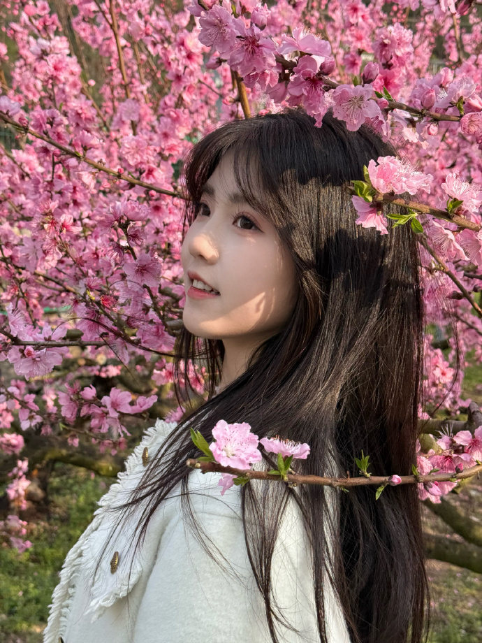 蜘蛛池与伪原创技术的协同应用