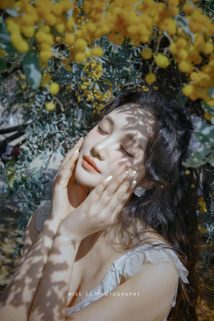 蜘蛛池访问日志的分析方法