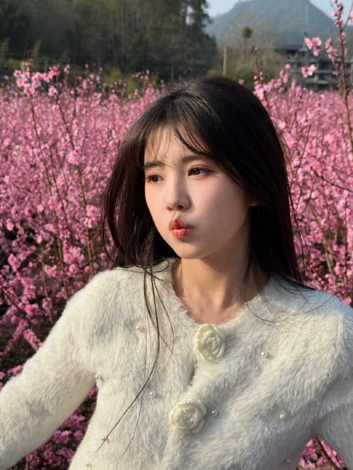 蜘蛛池与伪原创技术的协同应用