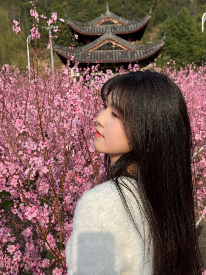 蜘蛛池与伪原创技术的协同应用