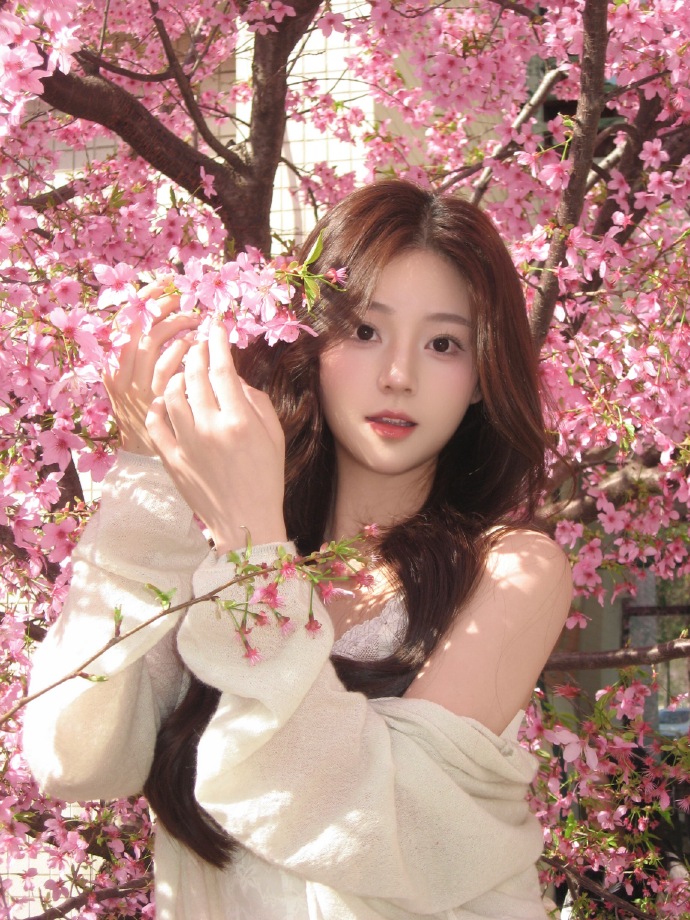 蜘蛛池访问日志如何进行安全审计