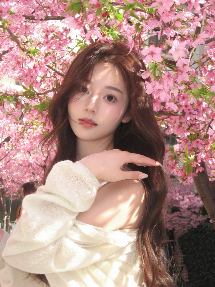 蜘蛛池访问日志的深度分析