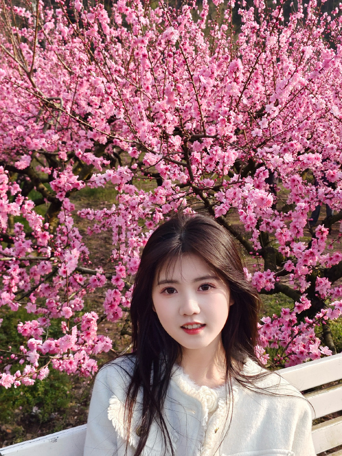 蜘蛛池在泛解析中的实战价值