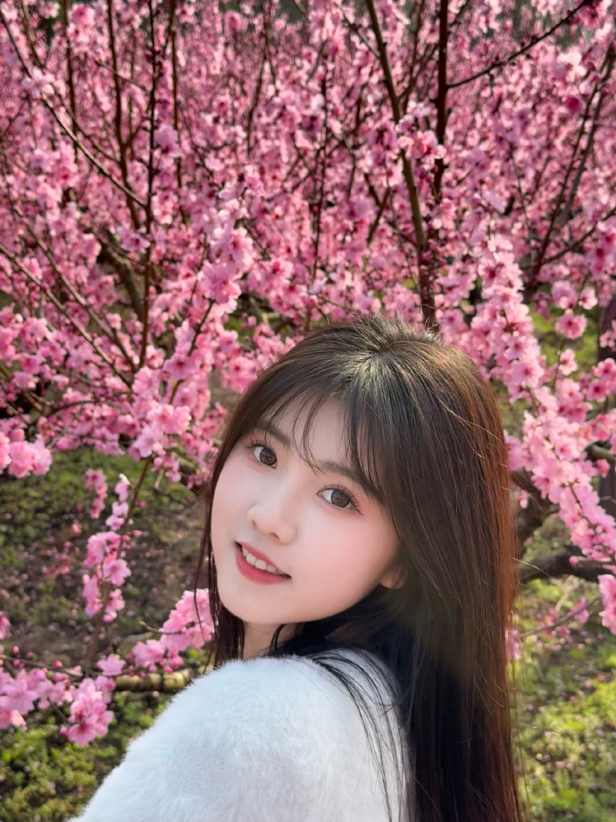 蜘蛛池在小程序内容优化中的使用方式