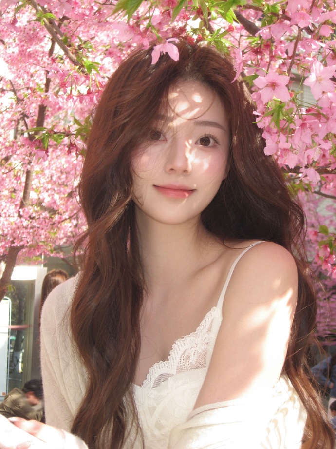 蜘蛛池在小程序内容优化中的使用方式