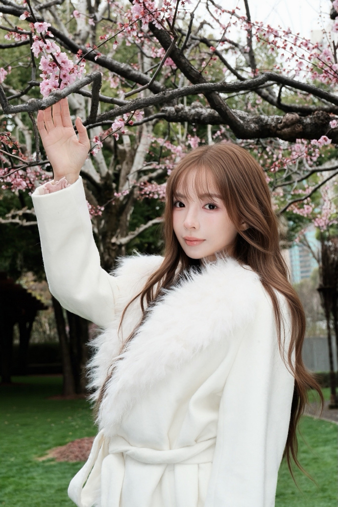 网站降权后，蜘蛛池还能用吗？