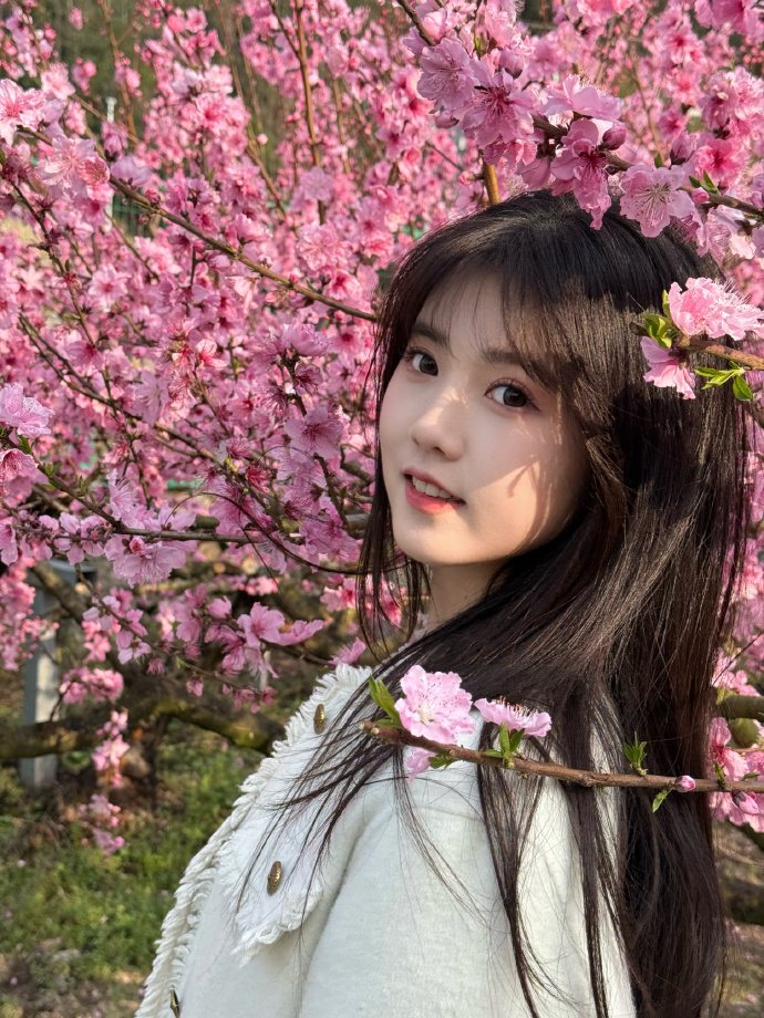 利用蜘蛛池进行微站点批量上线方案