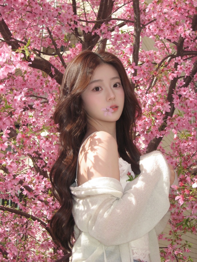 网站降权后，蜘蛛池还能用吗？