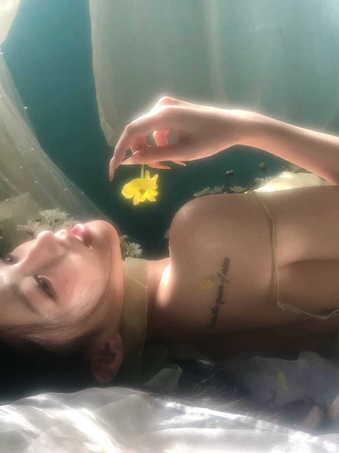 蜘蛛池在自动化站群系统中的角色