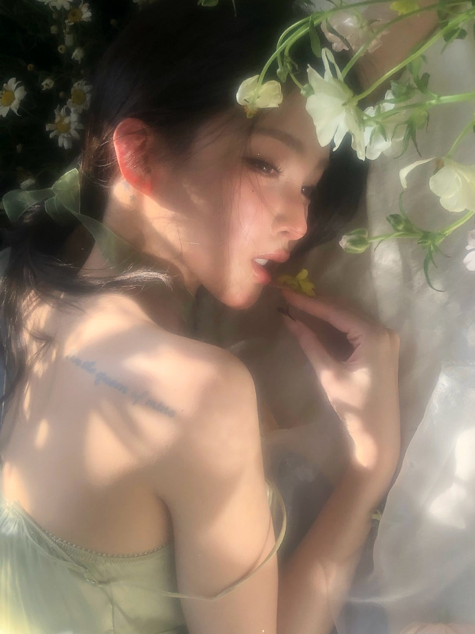 蜘蛛池在泛解析中的实战价值